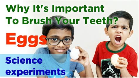 are eggs similar to teeth